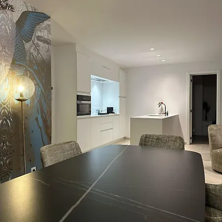 Spacious And Modern With Open Sea View * אוסטנדה