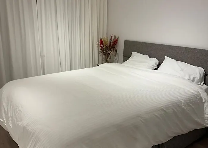 Spacious And Modern With Open Sea View Ostend