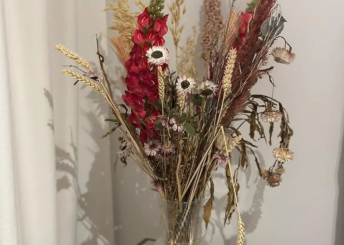 Apartment Spacious And Modern With Open Sea View Ostend